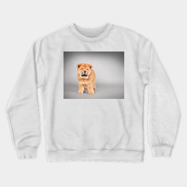 Chow chow  puppy Crewneck Sweatshirt by PetsArt